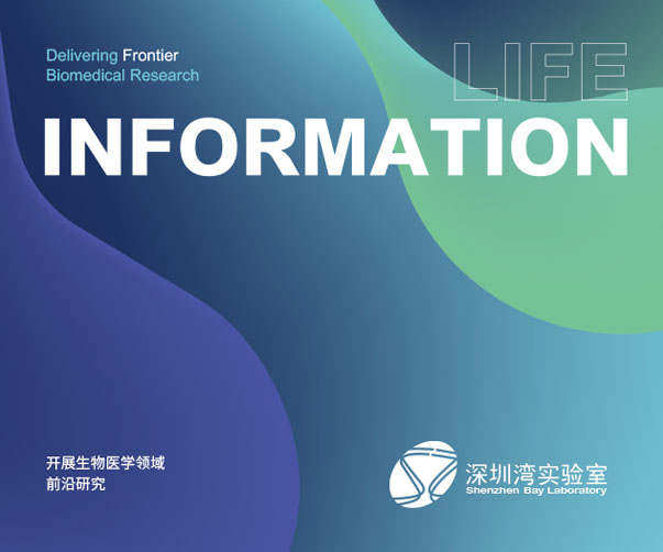 Logo與品牌設(shè)計(jì)：設(shè)計(jì)師助力上海企業(yè)騰飛的關(guān)鍵要素